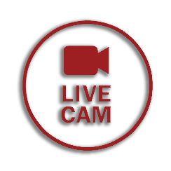 Live Webcam Stream